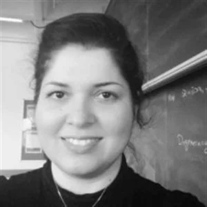 Rahimeh Neamatian Monemi